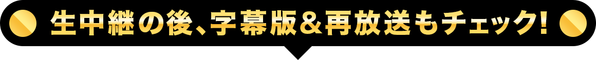 字幕版 タイトル