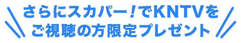 プレゼント概要ナンバー