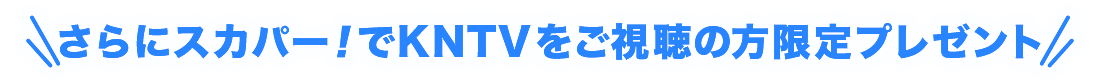 プレゼント概要ナンバー